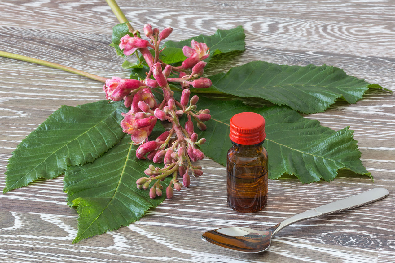 Bachblütentropfen aus roter Kastanie mit Löffel